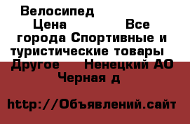 Велосипед Viva Castle › Цена ­ 14 000 - Все города Спортивные и туристические товары » Другое   . Ненецкий АО,Черная д.